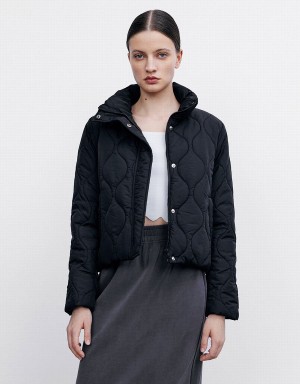 Chamarra Puffer Urban Revivo Acolchado Mujer Negros | GUA4197QW