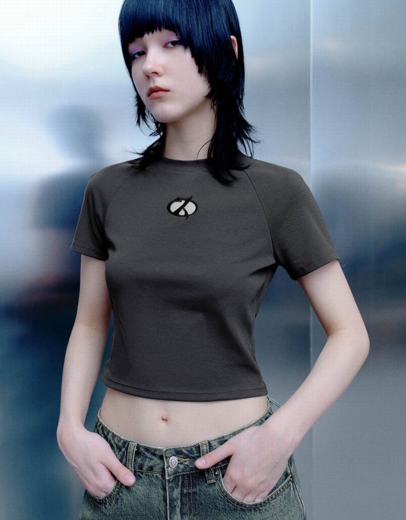 Camiseta Urban Revivo Printed Raglan Sleeve Crew Neck Flaco Mujer Grises | UZV932ET