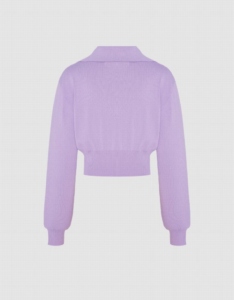 Cárdigan Urban Revivo Cropped Knit Mujer Morados | RSP4680HB
