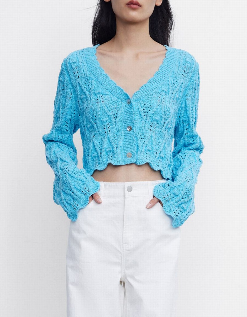 Cárdigan Urban Revivo Pointelle Button Up Mujer Azules | JEY891OX