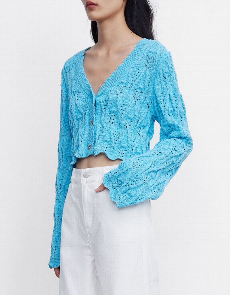 Cárdigan Urban Revivo Pointelle Button Up Mujer Azules | JEY891OX