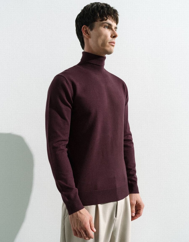 Cárdigan Urban Revivo Turtle Neck De Punto Hombre Rojos | WJE4873JD