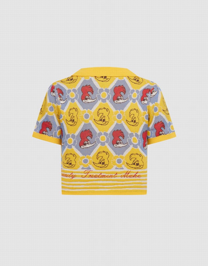 Cárdigan Urban Revivo Woody Woodpecker Plaid De Punto Top Mujer Amarillos Multicolor | DQJ9719HP